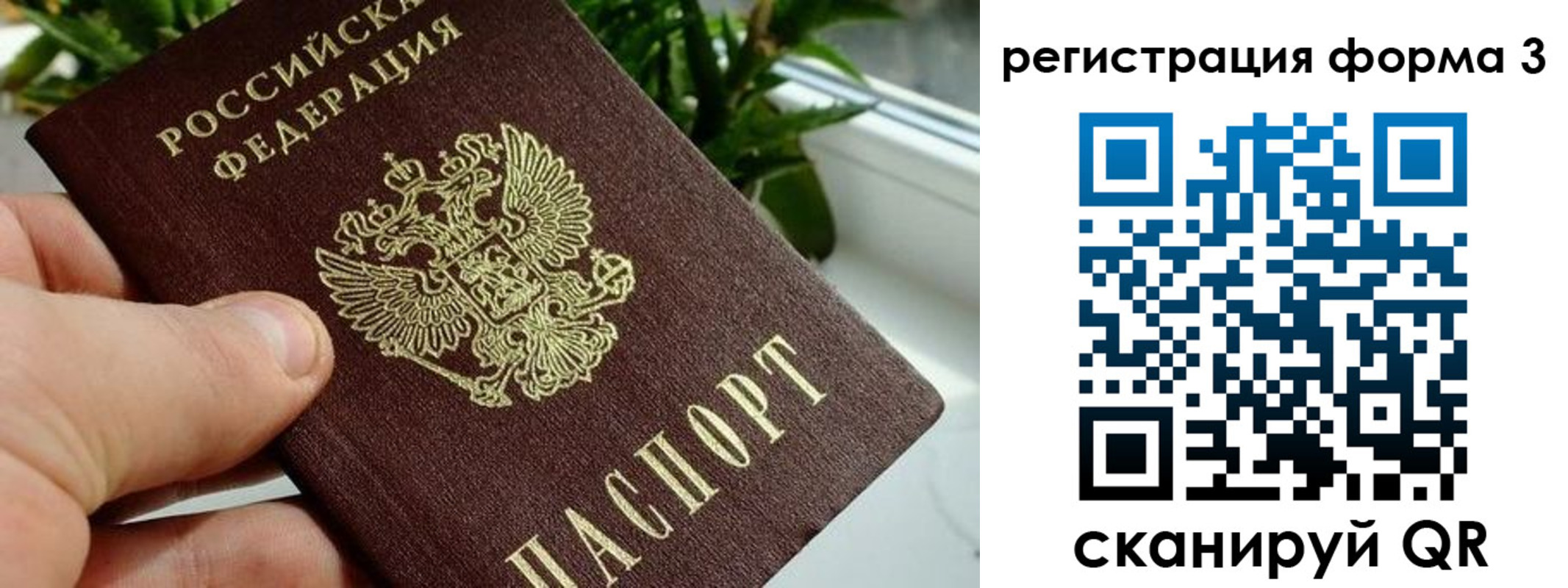 прописка штамп в Тамбовской области